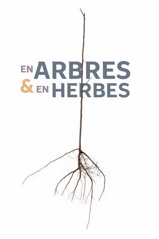 Porte-greffe Diospyros lotus