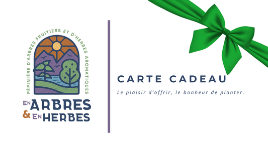 Carte-cadeau En Arbres & En Herbes